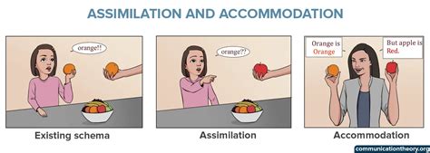 jean piaget accommodation and assimilation.